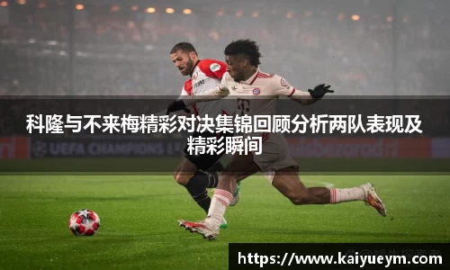 雷竞技app